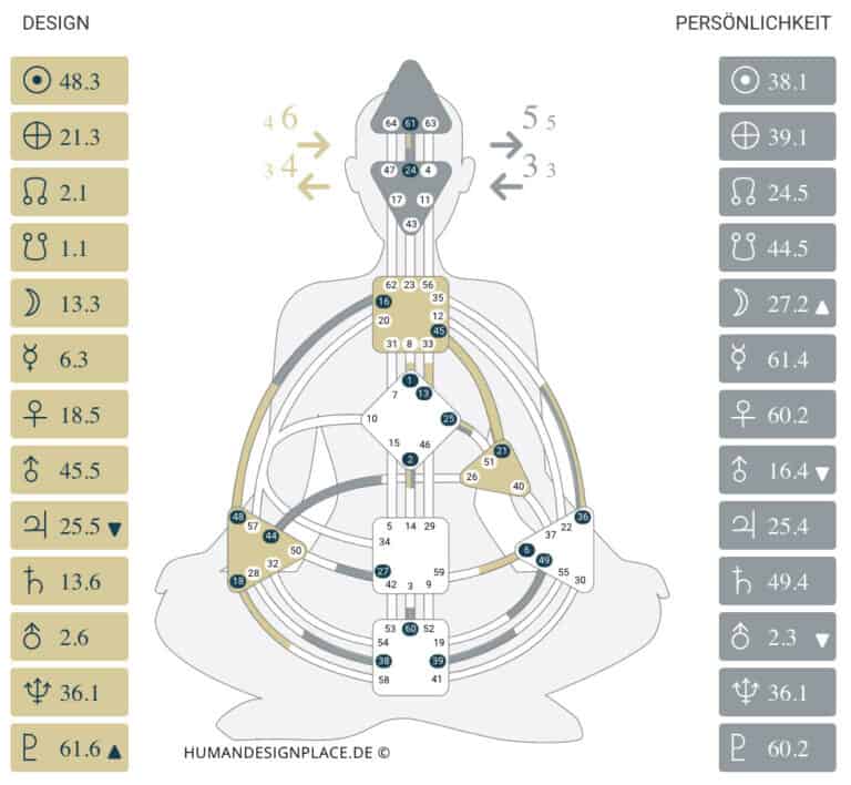 Human Design Chart Just Now 